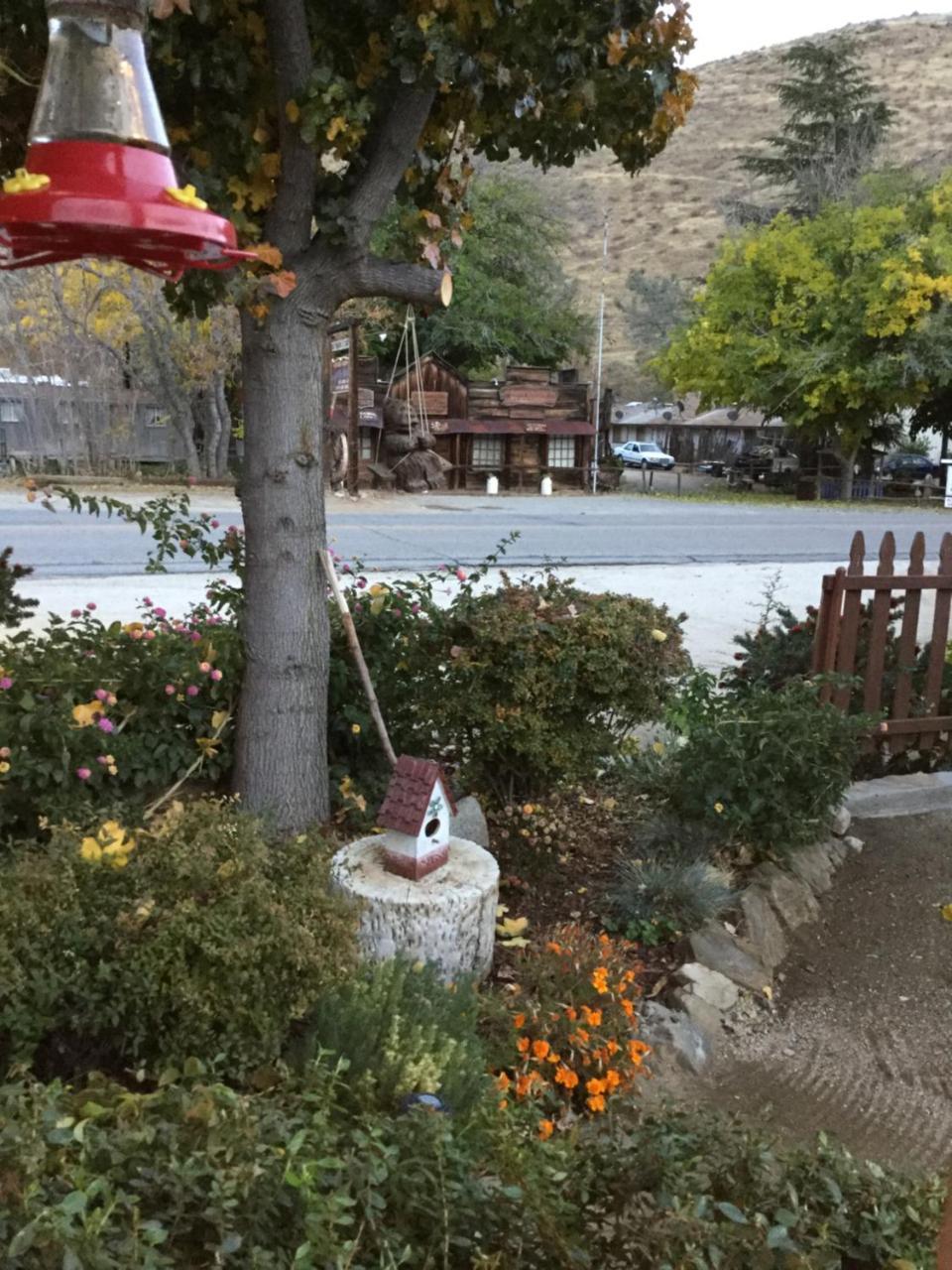 Sequoia Lodge Kernville Ngoại thất bức ảnh